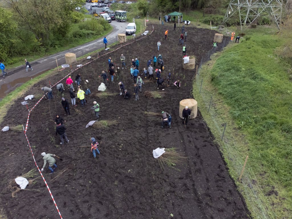 Baumpflanzung Quickborn, Citizens Forests, Foto: Sebastian Kranz